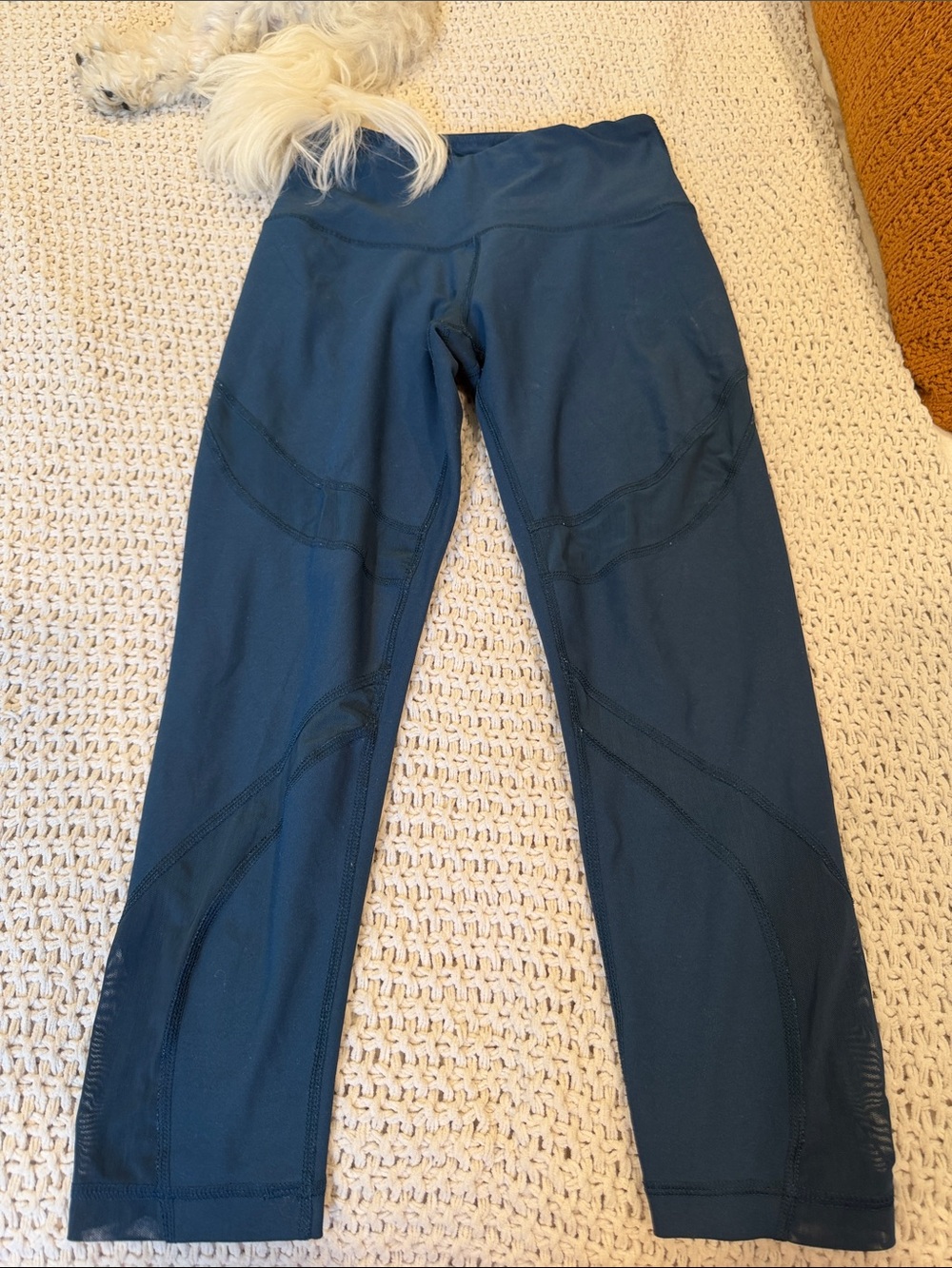 Deep Blue Size S mesh leggings